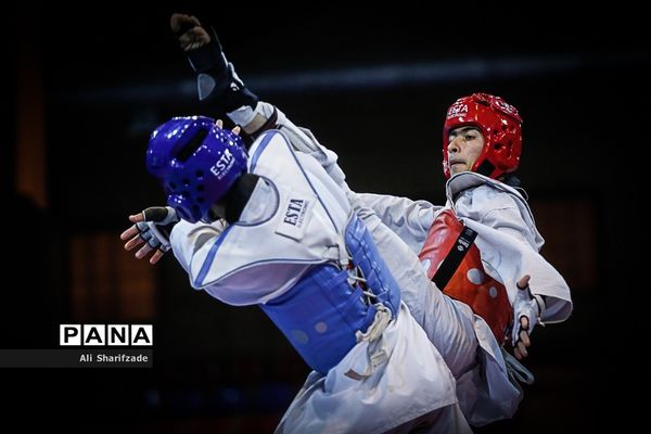 لیگ برتر تکواندو