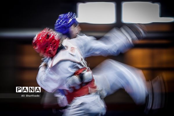 لیگ برتر تکواندو