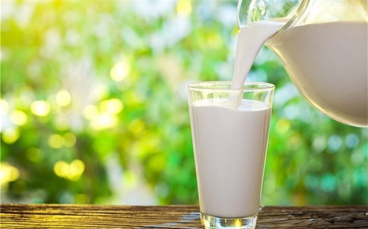 ۵ باور اشتباه درباره شیر گاو