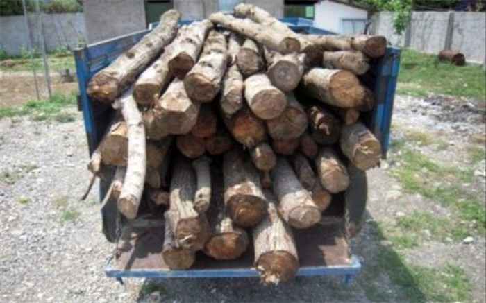 قاچاقچیان چوب به دام پلیس افتادند