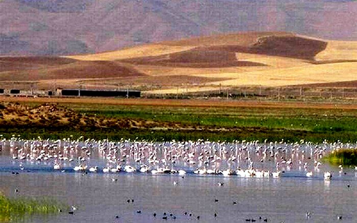 آبگیری تالاب 'درگه سنگی' نقده آغاز شد