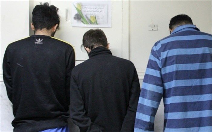 سارقان 10میلیاردی در دام پلیس البرز افتادند