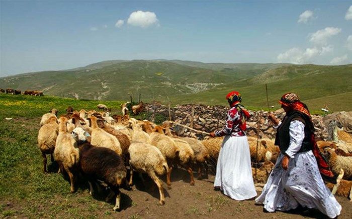 15  درصد جمعیت عشایری آذربایجان غربی در ارومیه ساکن هستند