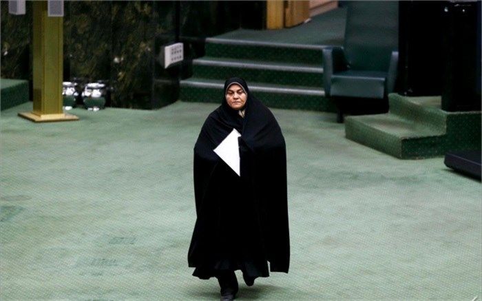 سخنگوی فراکسیون امید: با بخشی دیدار کرده‌ایم