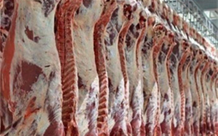 توزیع گسترده گوشت قرمز ۲۹ و ۴۰ هزار تومانی در روزهای آینده