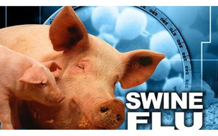 شیوع آنفلوانزای خوکی در گرجستان؛ دانشگاه ها نیز تعطیل شد