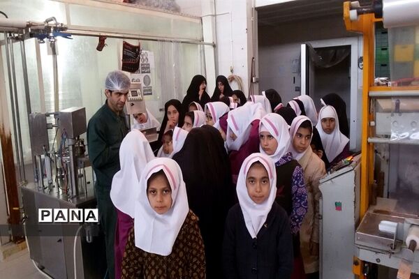 بازدید دانش‌آموزی از کارخانه  فرآورده‌های لبنی پدنک بشرویه