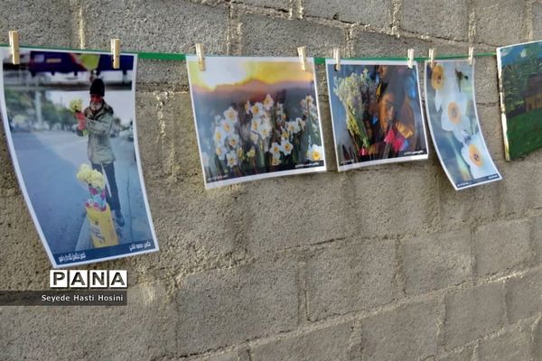 جشنواره گل نرگس در نوآباد  شهرستان مهر