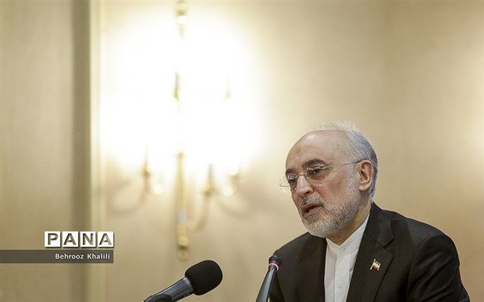صالحی: نفوذ اسرائیل غرب را نابود می‌کند