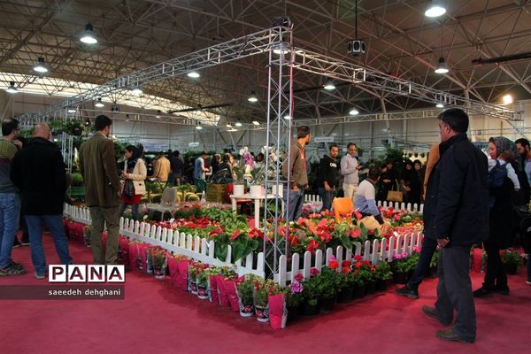 نمایشگاه گل‌و‌گیاه و تجهیزات باغبانی در شیراز