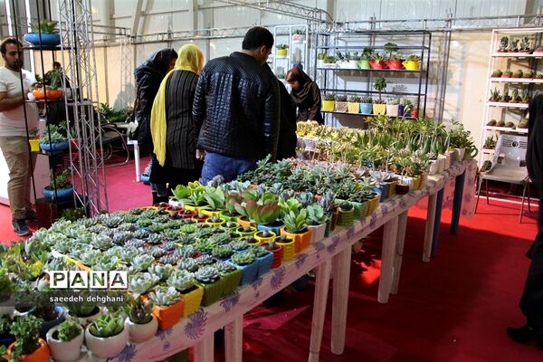 نمایشگاه گل‌و‌گیاه و تجهیزات باغبانی در شیراز