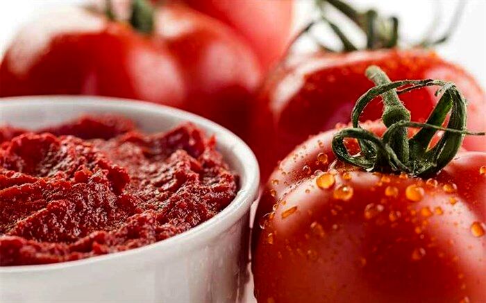صادرات گوجه آزاد شد