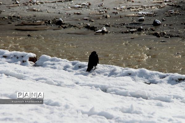 یک روز برفی در پارک گللر باغی ارومیه