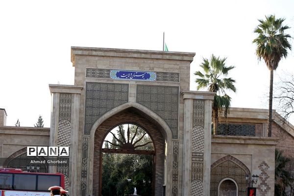 جشن انقلاب و همایش پیاده‌روی خانوادگی در ساری