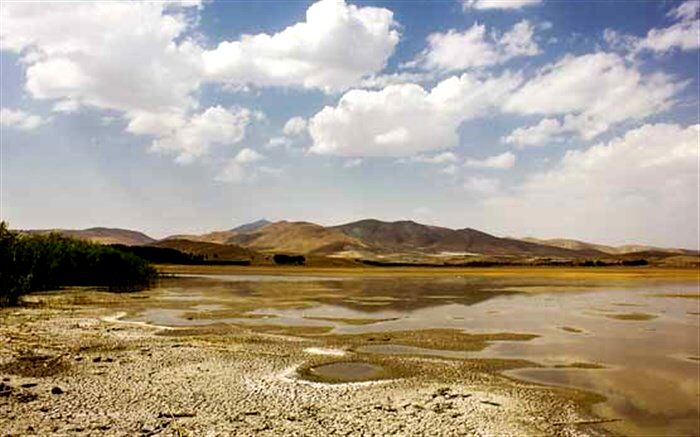 حیدری، کارشناس محیط‌زیست:  تالاب‌های مرکزی ایران به کانون‌های گرد و غبار تبدیل شده‌اند