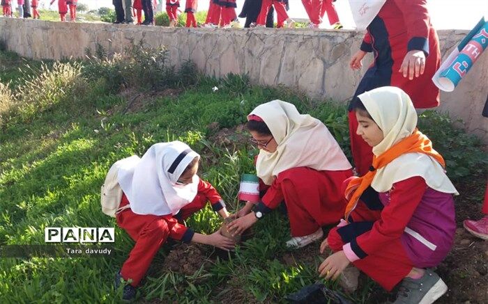 کاشت نهال بمناسبت سالروز ورود امام توسط همیاران محیط زیست مسجدسلیمان