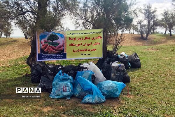 پاکسازی جنگل زویر به همت پیشتازان دختر باوی