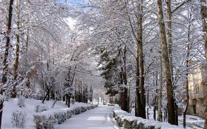 تعدادی از مدارس همدان در نوبت بعد از ظهر تعطیل شد
