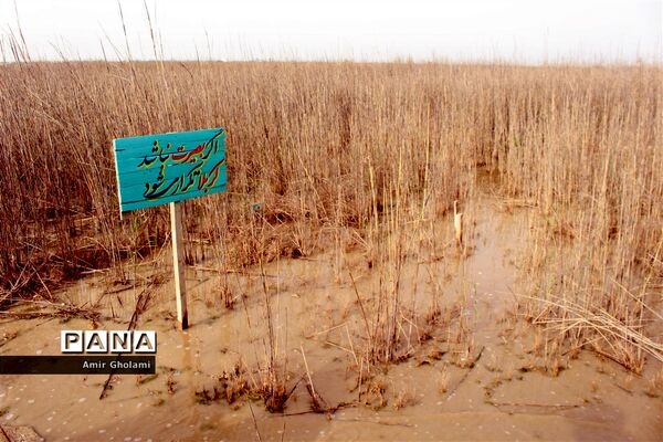 اردوی دانش‌آموزی راهیان نور و آشنایی با فرهنگ مقاومت