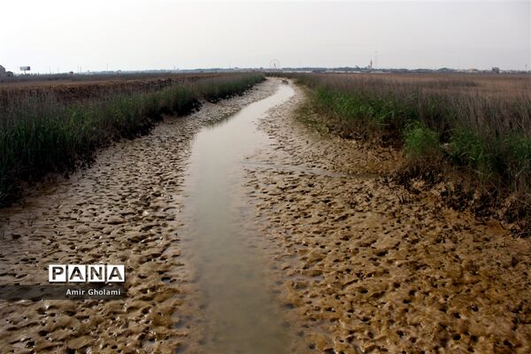 اردوی دانش‌آموزی راهیان نور و آشنایی با فرهنگ مقاومت