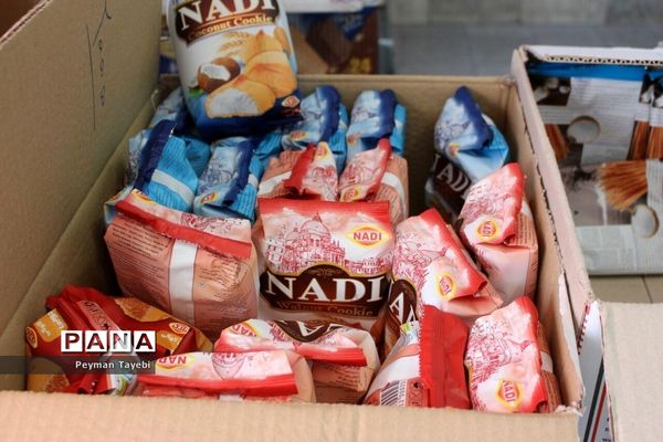 بازدید و ارزیابی مسئولان سازمان دانش‌آموزی مرکز از فعالیت‌های شهرستان سمنان