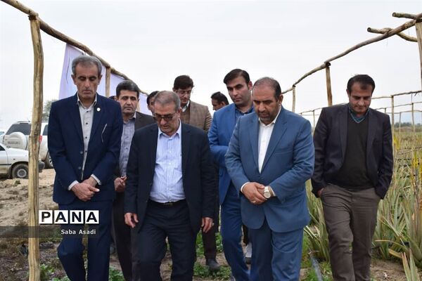 بهره‌برداری از مزرعه کاشت گیاه دارویی آلوئه‌ورا در شهرستان مُهر