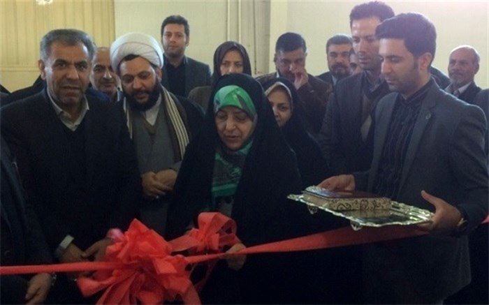 معاون امور زنان رئیس جمهور: مبحث اشتغال برای زنان ایرانی بسیارمهم است