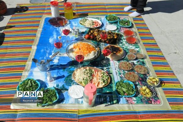برگزاری جشنواره غذای سالم در زرین دشت