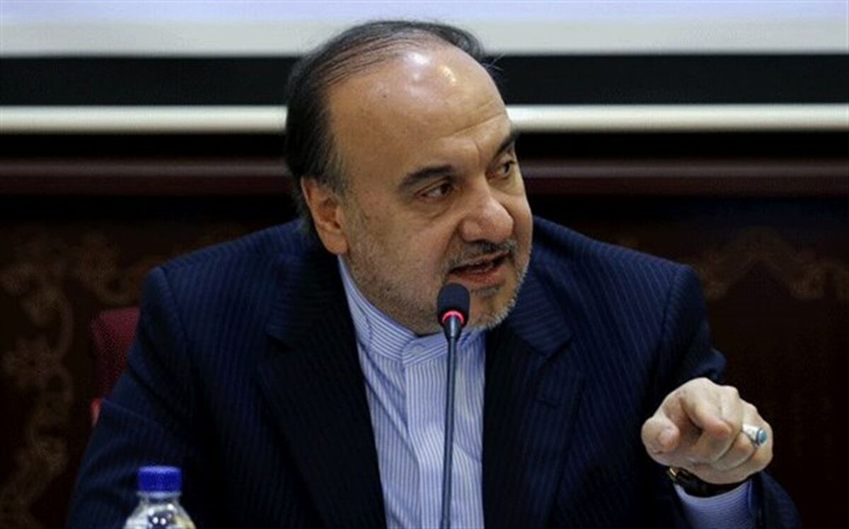 سلطانی‌فر: برخی از سیاسیون برای موقعیت اجتماعی‌شان در ورزش حاضر می‌شوند