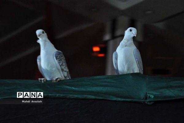 نمایشگاه شهدای جومیان درشهرستان خوسف