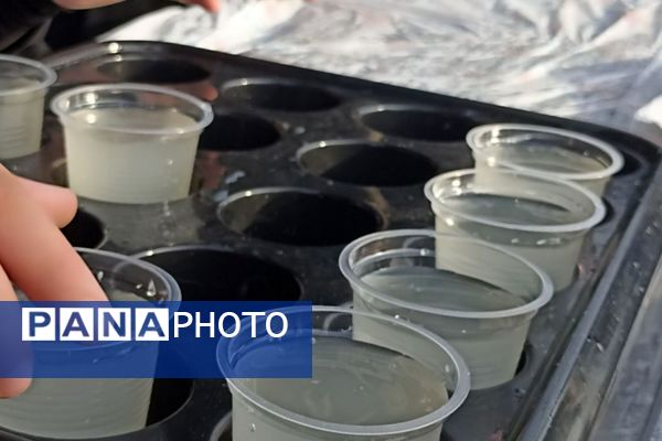 شور عزای  تاسوعای حسینی در لپویی 