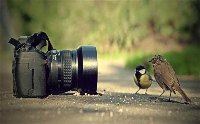 اعلام نتایج اولیه پنجمین جشنواره بین‌المللی عکس سلامت روان