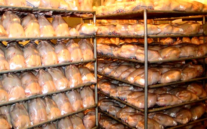 عرضه گوشت مرغ با قیمتی بالاتر از 12 هزار تومان تخلف است