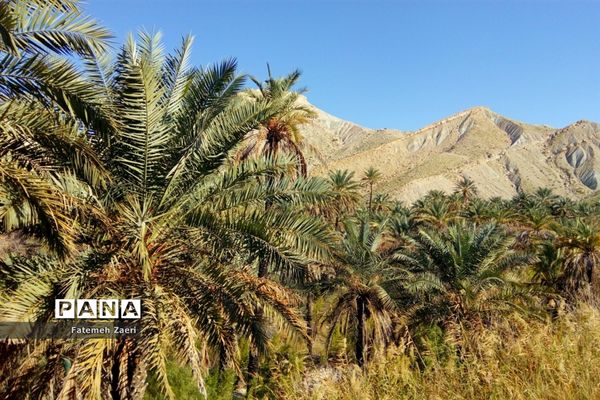 آسیاب‌های تنگ ترمان لامِرد فارس