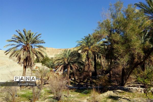 آسیاب‌های تنگ ترمان لامِرد فارس