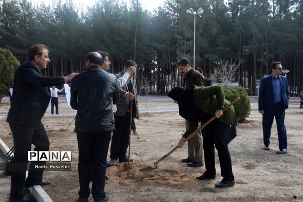 کاشت ۴۰ اصله نهال با یادمان ارتباطی فراگیر