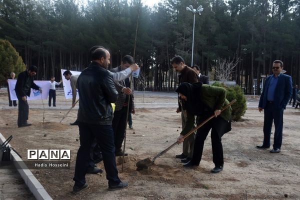 کاشت ۴۰ اصله نهال با یادمان ارتباطی فراگیر