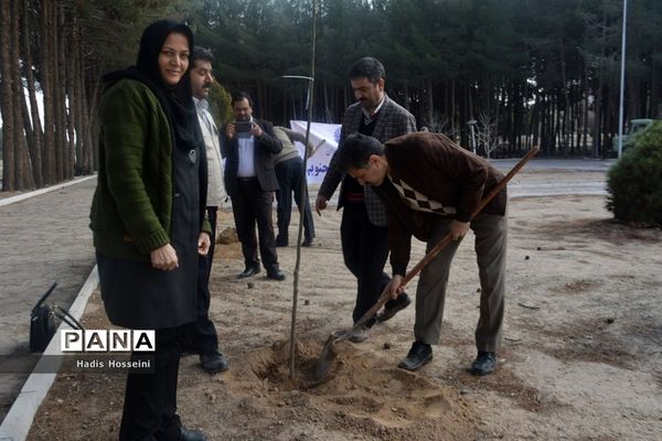 کاشت ۴۰ اصله نهال با یادمان ارتباطی فراگیر
