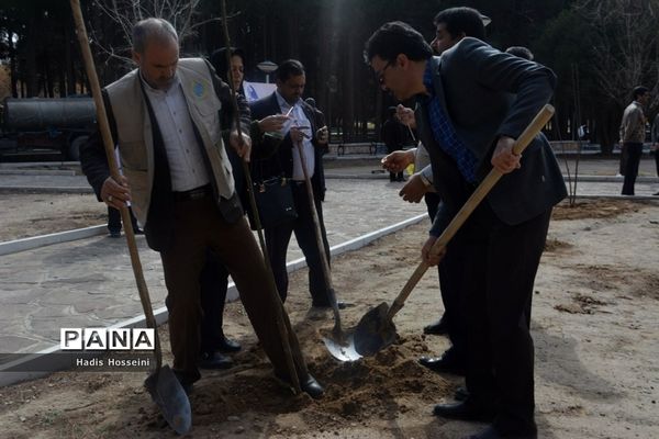 کاشت ۴۰ اصله نهال با یادمان ارتباطی فراگیر