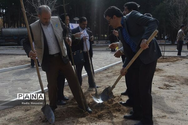 کاشت ۴۰ اصله نهال با یادمان ارتباطی فراگیر