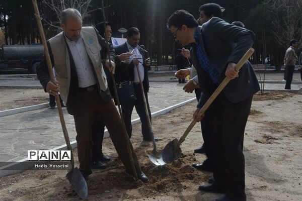 کاشت ۴۰ اصله نهال با یادمان ارتباطی فراگیر