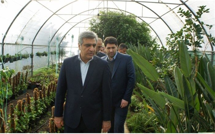 اولین کارگاه آموزشی کشت هیدروپونیک در گیلان افتتاح شد