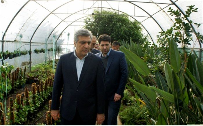 اولین کارگاه آموزشی کشت هیدروپونیک در گیلان افتتاح شد