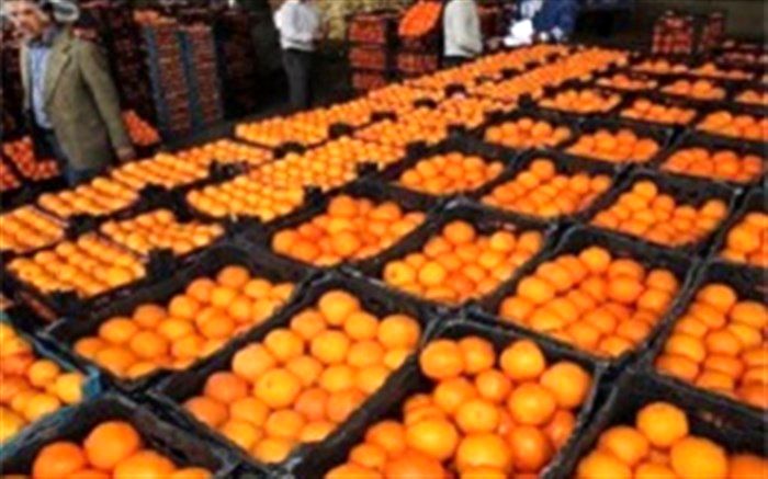 تکمیل ذخیره سازی میوه عیدانه تا دهم اسفند