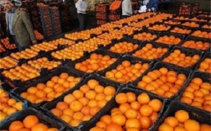 تکمیل ذخیره سازی میوه عیدانه تا دهم اسفند