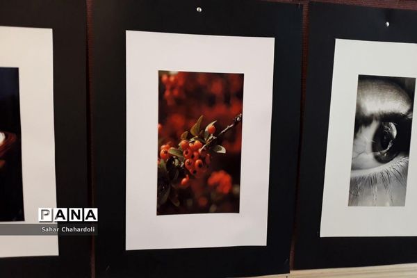 برگزاری نمایشگاه هنرهای تجسمی و گرافیک در هنرستان تهذیب همدان