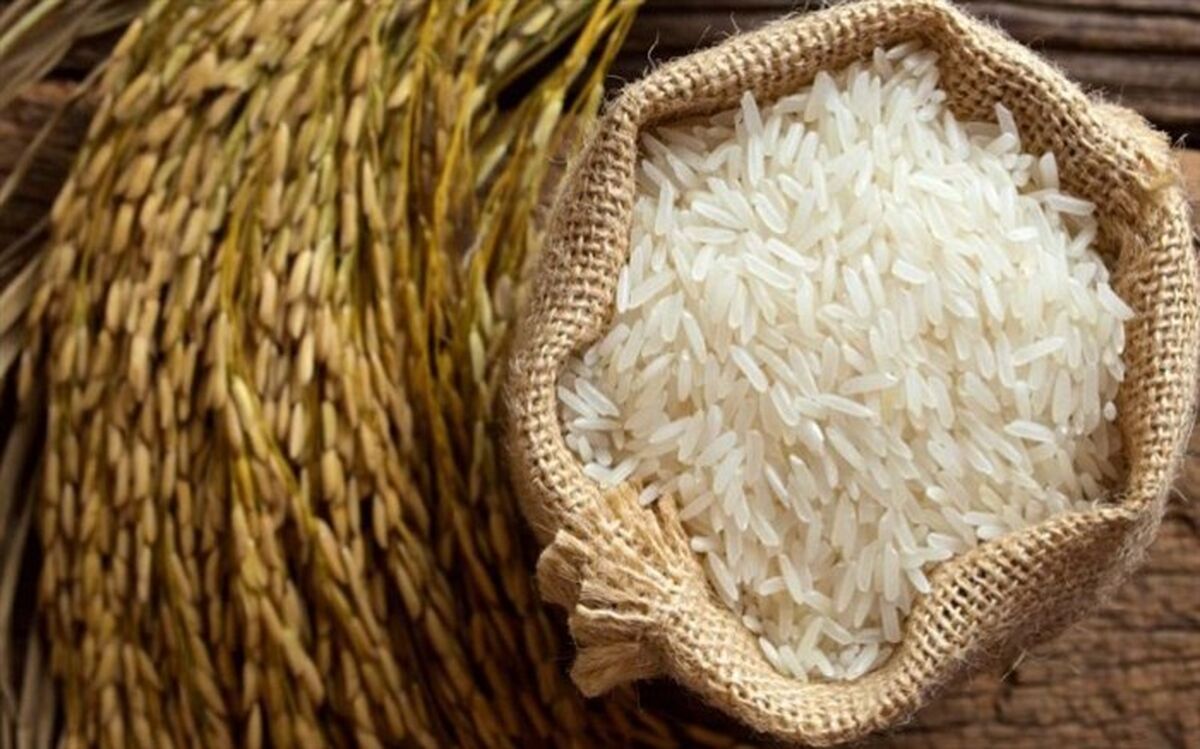 820 تن برنج دولتی در مازندران توزیع می‌شود