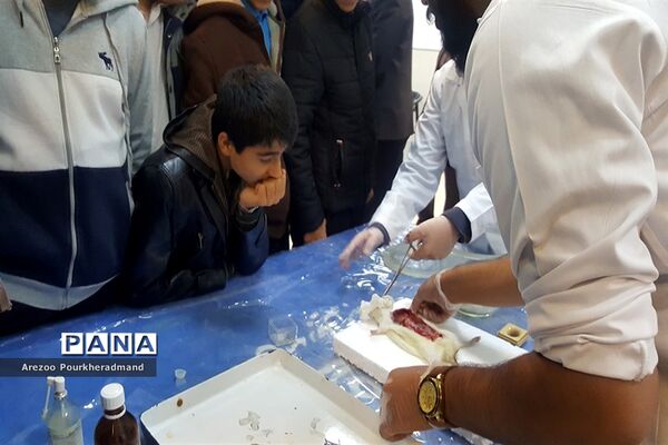 آیین افتتاحیه نمایشگاه توانمندی‌های دانش‌آموزی دبیرستان شهید رحیمی‌فر میبد