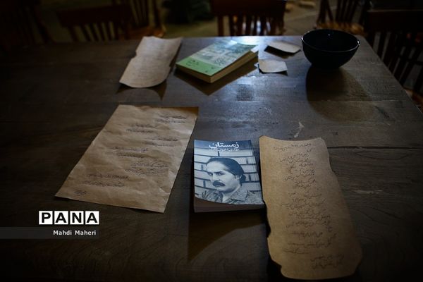 بازدید فعالان ضدجنگ آمریکایی از باغ موزه قصر