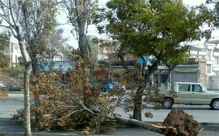 موافقت شورای شهر تهران با ساخت ۶۲ برج باغ